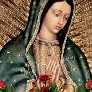 Meet your Posher, Franco